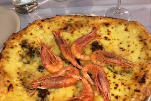 Cibo