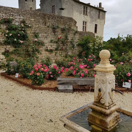 10 Water Amusement Parks In Charente Maritime That You Shouldn T Miss