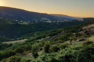 Vista dalla camera