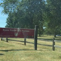 Busse Woods Trail System (elk Grove Village) - All You Need To Know 