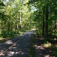 Busse Woods Trail System (Elk Grove Village) - All You Need to Know ...