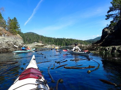 DISCOVERY ISLANDS LODGE - Reviews (Quadra Island, British Columbia)