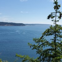 Camano Island State Park - All You Need to Know BEFORE You Go