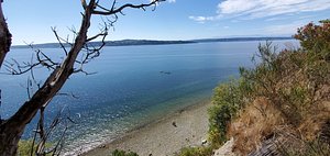 Exhibits in the sculpture park - Picture of Matzke Art Gallery and  Sculpture Park, Camano Island - Tripadvisor