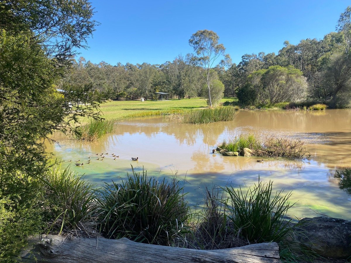 Simmo's Beach Reserve - All You Need to Know BEFORE You Go (2024)