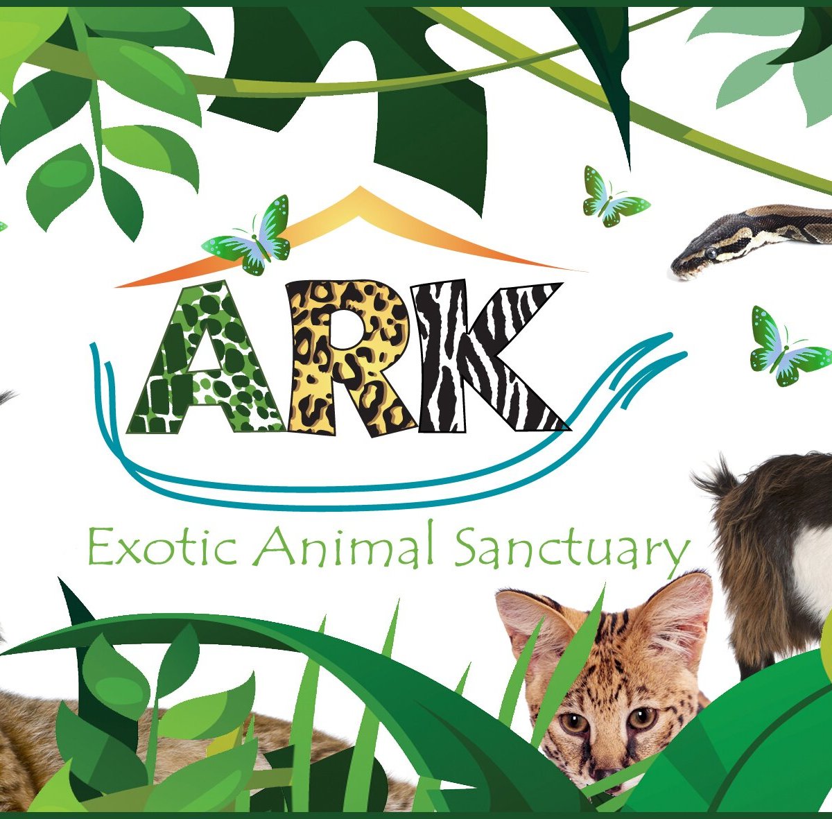 Ark Wildlife Park & Exotic Animal Sanctuary (Boston) 2022 Lo que se