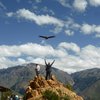 colonialtours-peru