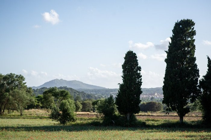 Imagen 16 de Es Raco D'Arta