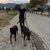 Halil A