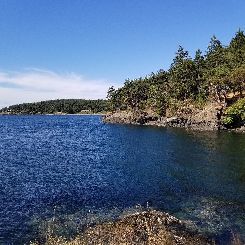 SAN JUAN COUNTY PARK - Campground Reviews - Friday Harbor, San Juan ...