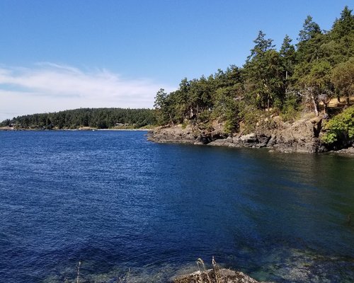 SAN JUAN COUNTY PARK - Campground Reviews (Friday Harbor, San Juan ...