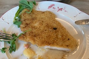 Cibo
