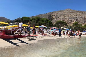 Barabas Palermo Beach, Size: Small