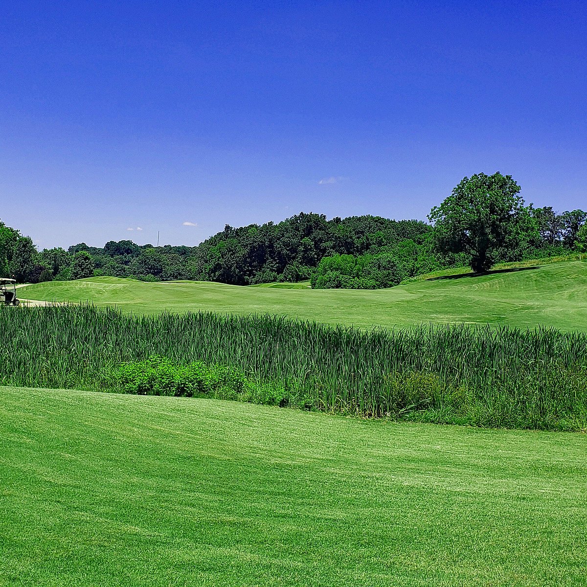 THE LEGACY GOLF COURSE (Springfield) Ce qu'il faut savoir