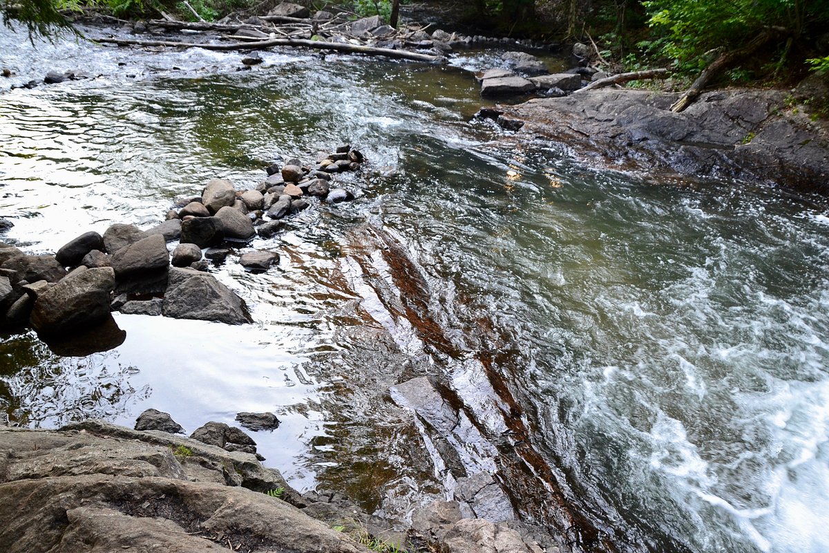 Skeleton Lake Fish Hatchery Trail (Muskoka Lakes): All You Need to Know