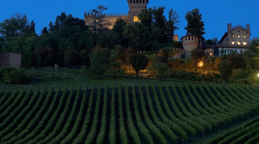 Il Castello di Gabiano con i suoi vigneti è un'azienda agricola con produzione di Barbera, Grignolino, Chardonnay, Sauvignon, Pinot Nero