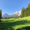 Giacomo M