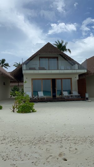 Cinnamon velifushi