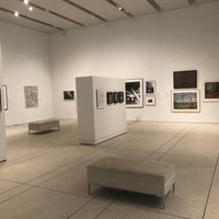 Tampa Museum of Art - All You Need to Know BEFORE You Go