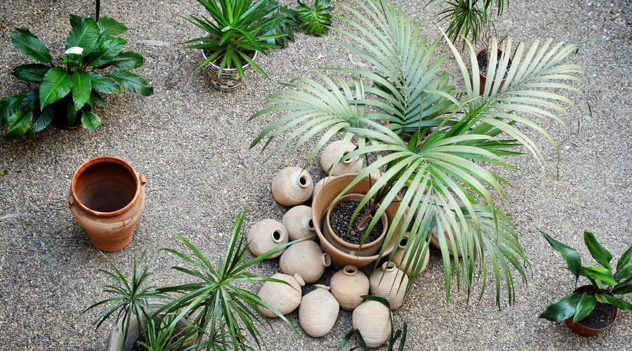 Patio Central