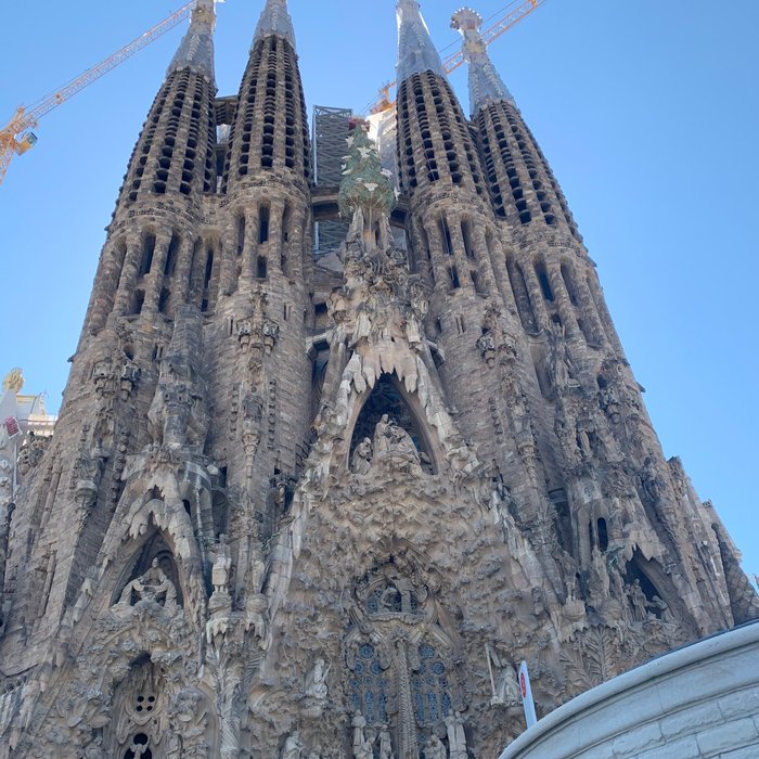 Imagen 8 de Gaudi Sagrada Familia