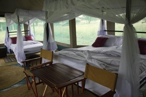Room & Suite