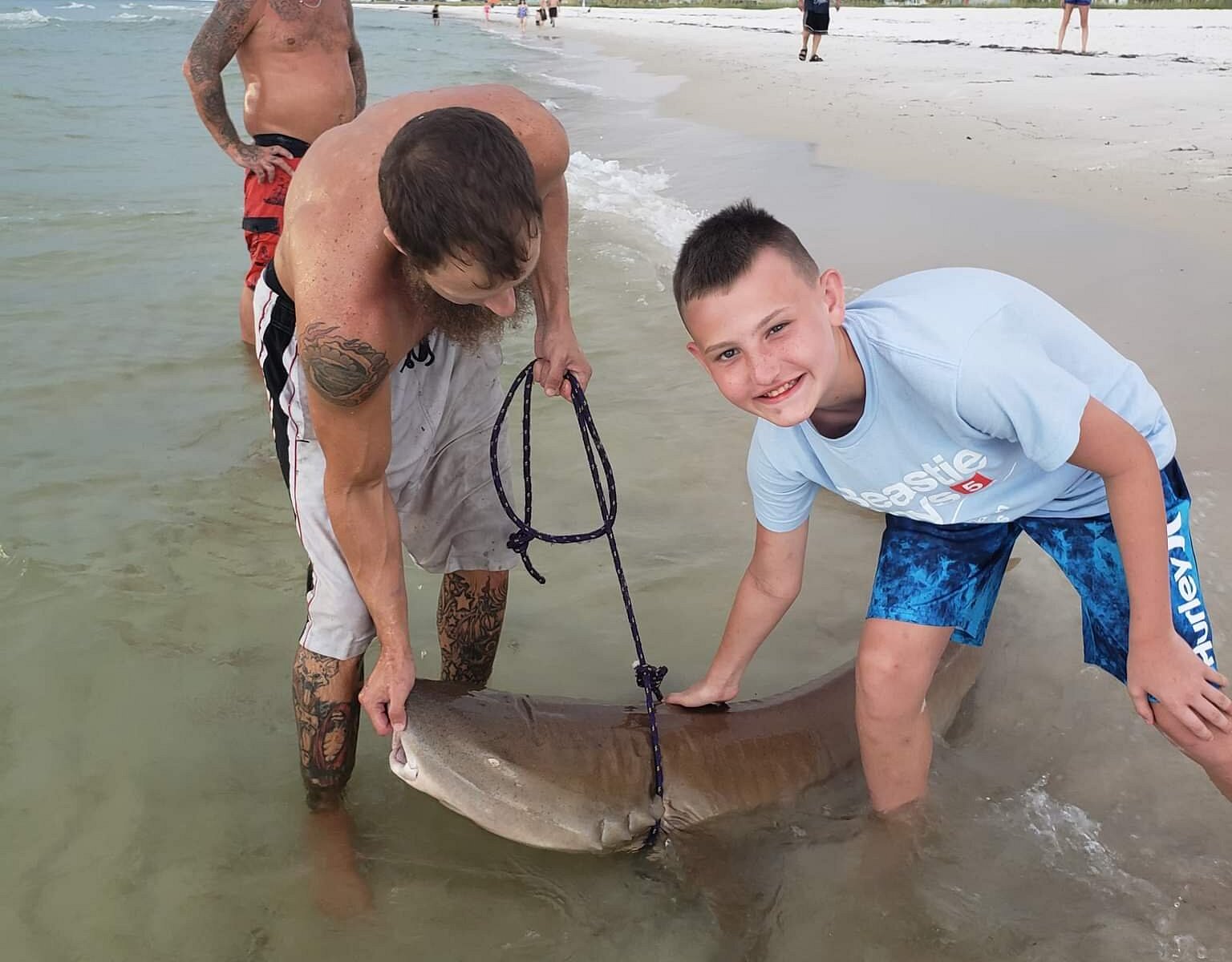 shark tours panama city beach