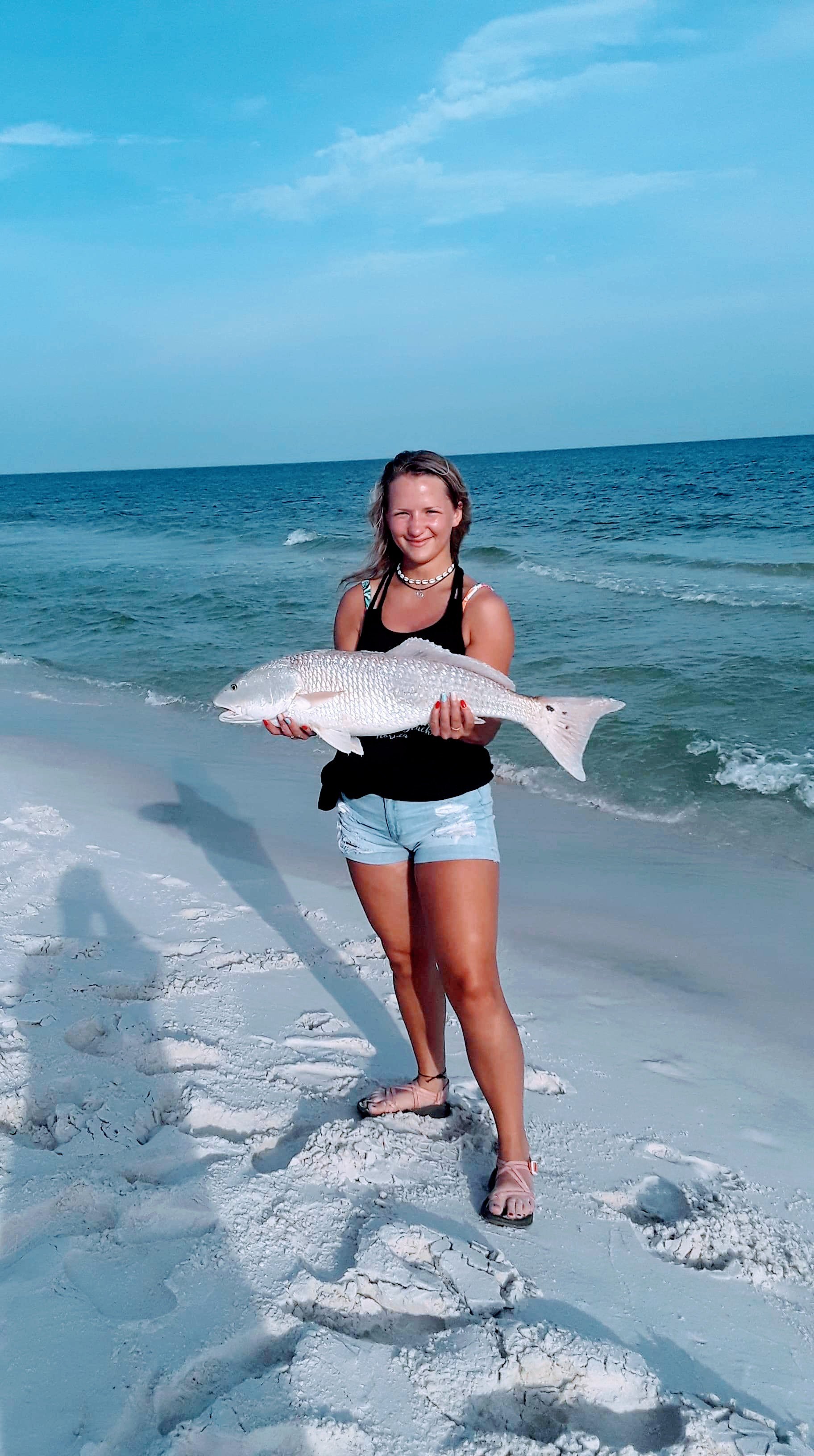 Shark Fishing in Panama City Beach: The Ultimate Guide