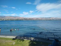 are dogs allowed at lake chelan state park