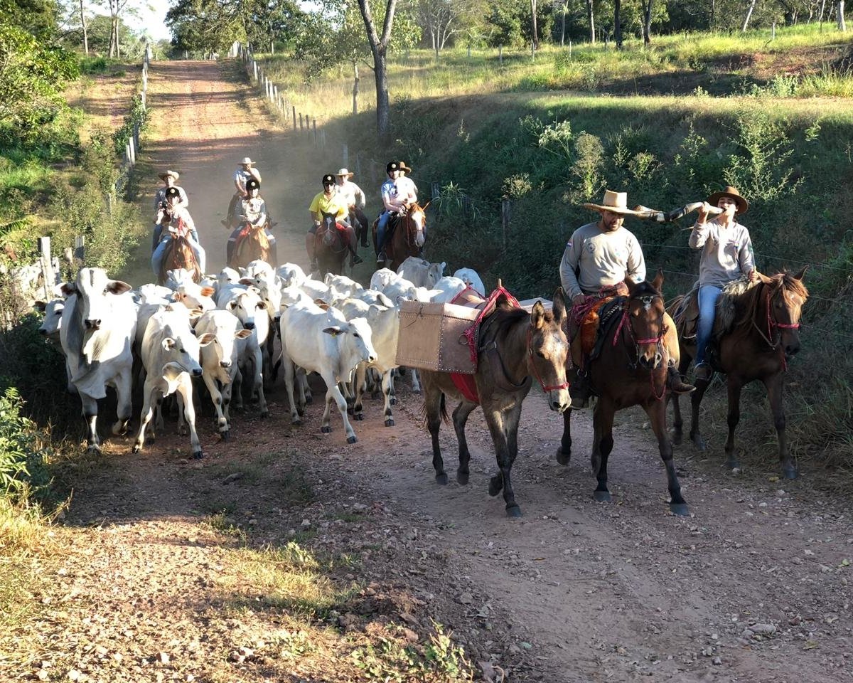 Cavalgada Pantanal - Eco Adventures Travel