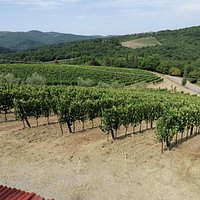 L'erta Di Radda