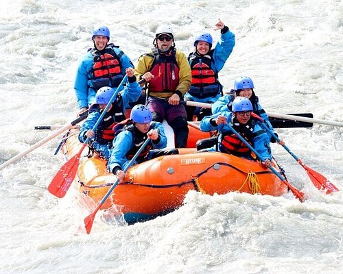 denali day tour