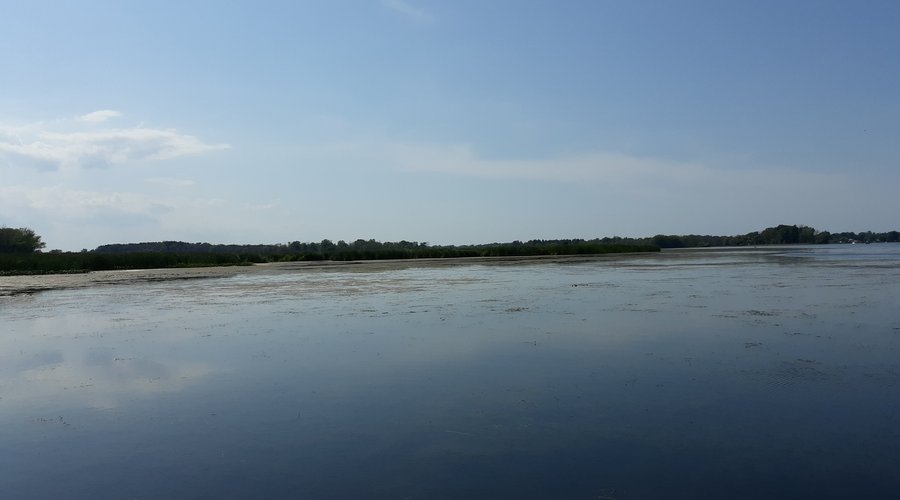 Braddock Bay Fish and Wildlife Management Area (Rochester, NY 