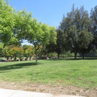 Vasona Lake County Park (Los Gatos) - All You Need to Know BEFORE You Go