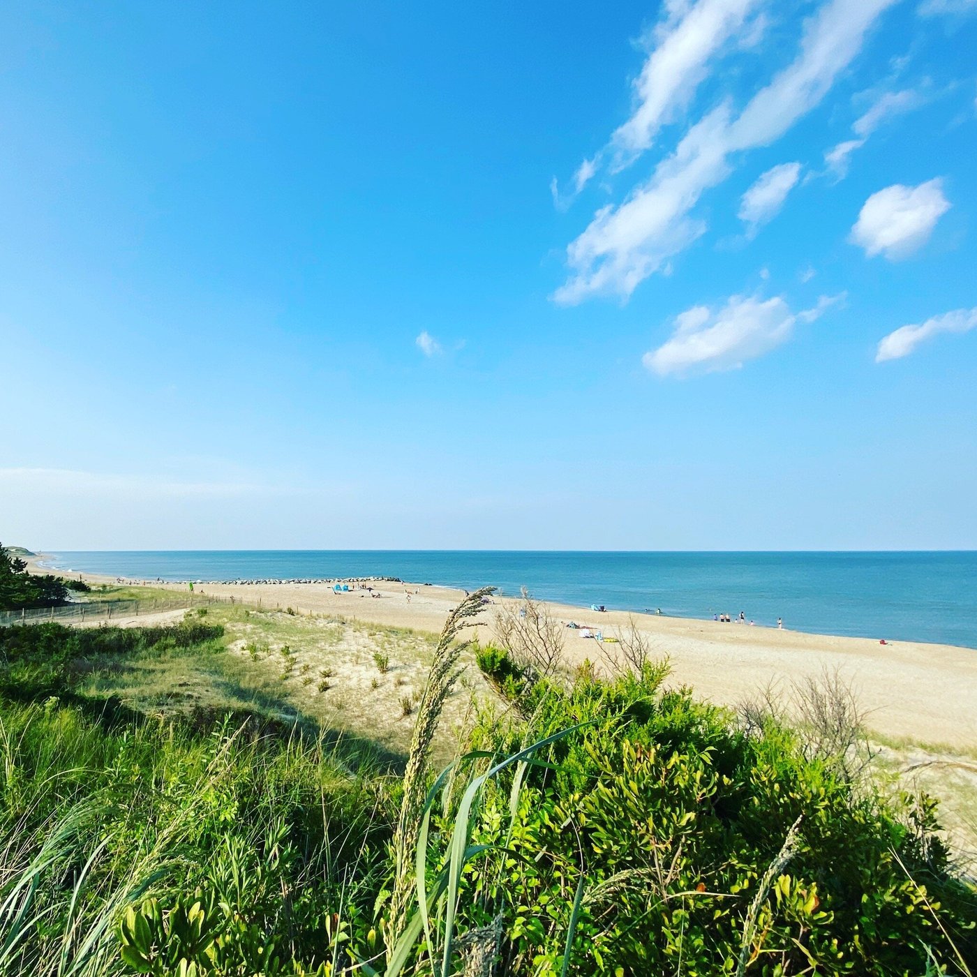 Cape Henlopen State Park by null