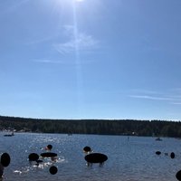 38+ Geyrischer Teich Strand, Auf den umliegenden liegewiesen bleibt.