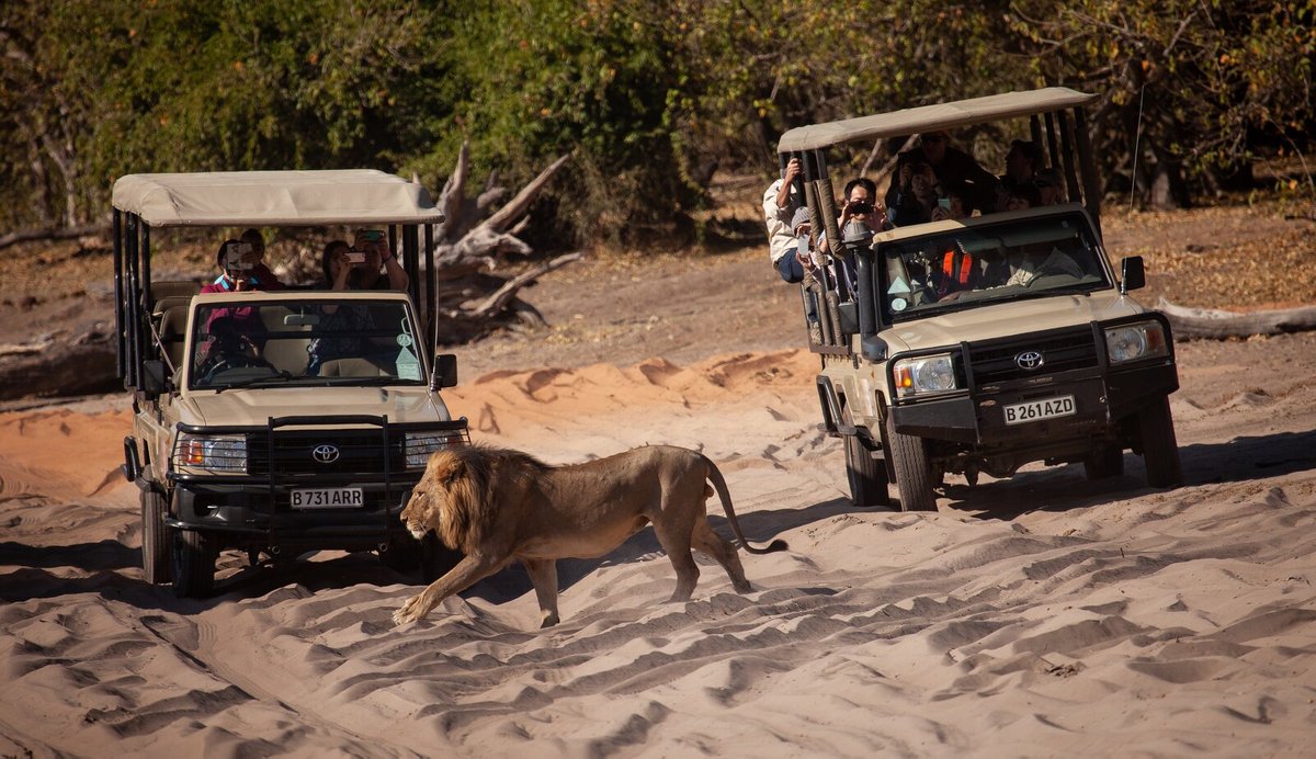 Kalahari Tours, Касане: лучшие советы перед посещением - Tripadvisor