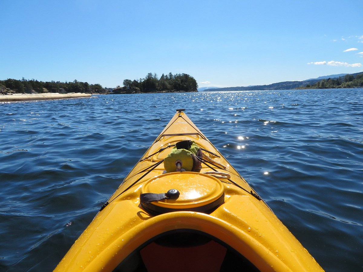 Sealegs Kayaking & Marine Adventures - All You Need to Know BEFORE