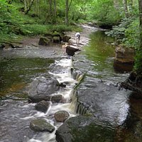 Limestone mini fall