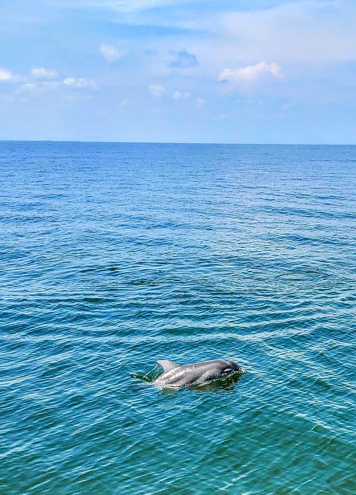 bay discovery cruise