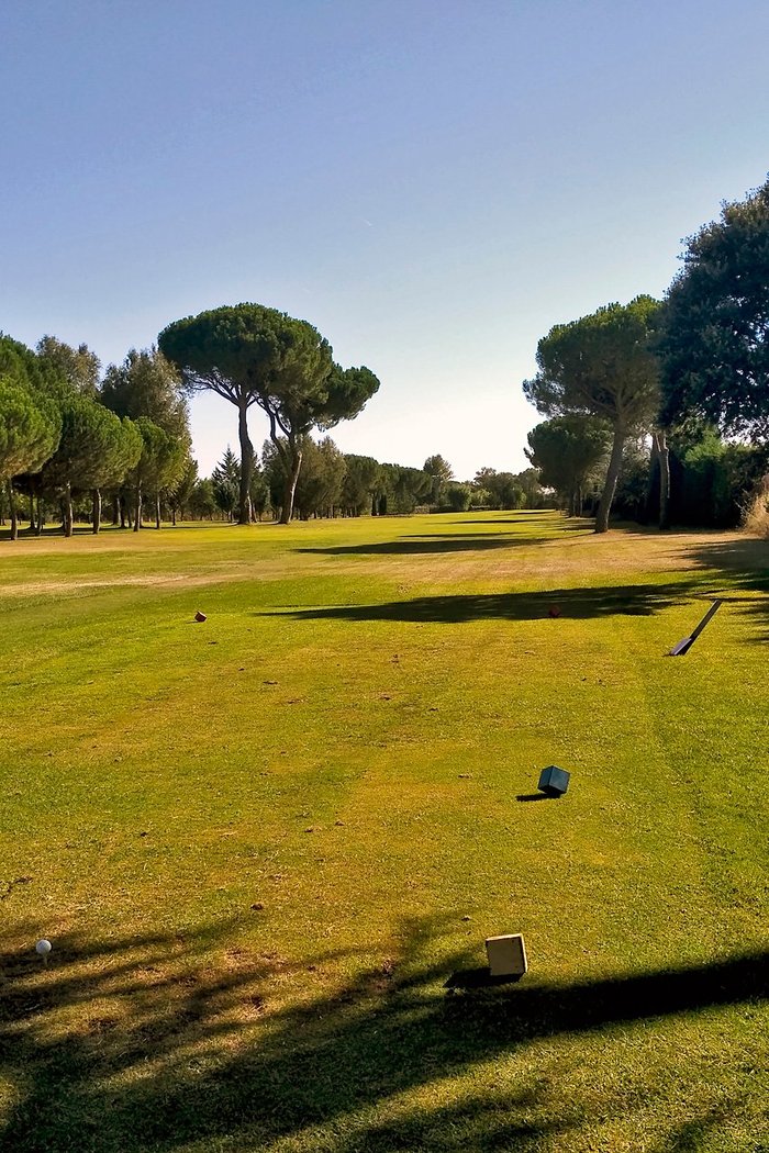 Imagen 10 de Golf Entrepinos