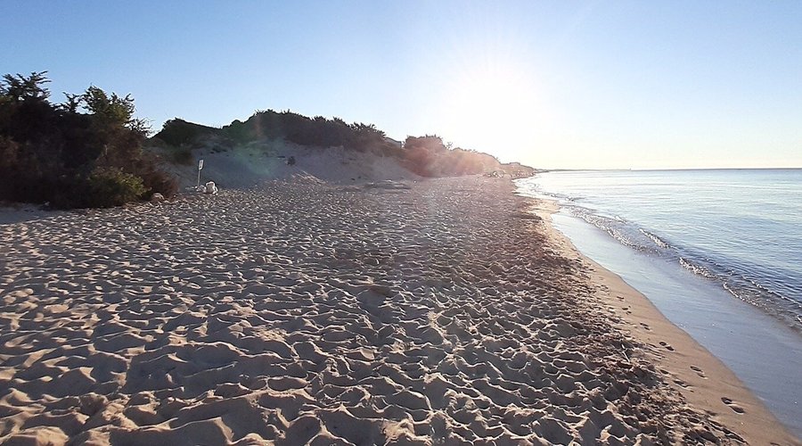 Spiaggia di San Pietro in Bevagna
