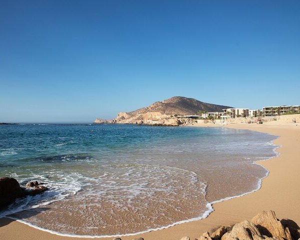 THE 15 BEST Things to Do in San Jose del Cabo (Updated 2024)