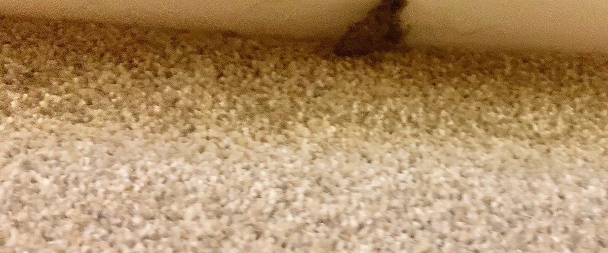 Slate cottage Tredethy Cornwall  Uncleaned on our arrival and photo of some broken furniture. Unfortunately couldn’t get a picture of the putrid smell!  Please see other full review with more information 