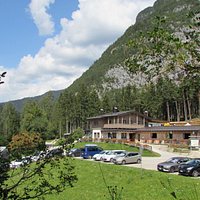 Pino solitario
