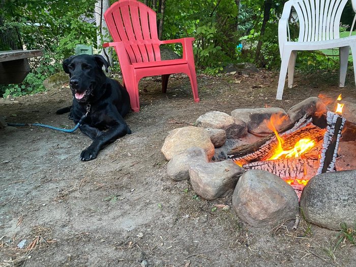 LAKE GEORGE BEAR'S DEN - Campground Reviews & Photos - Tripadvisor