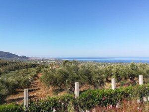Θέα από το δωμάτιο