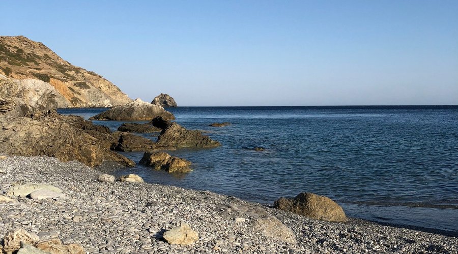 Cartolina 