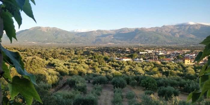 Imagen 15 de Casa Rural Rincón de la Fuente