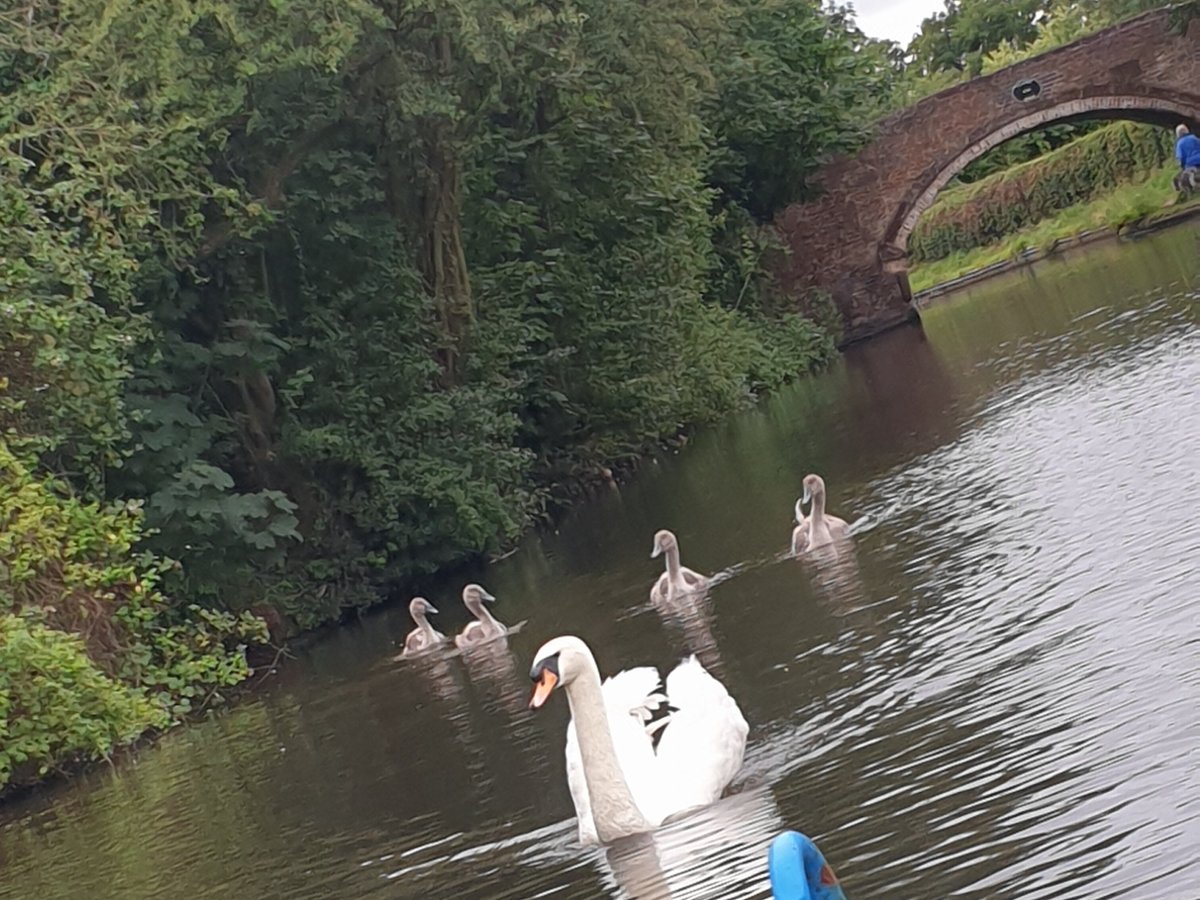 GEORGIE'S CANAL CRUISES (Penkridge) - All You Need to Know BEFORE You Go